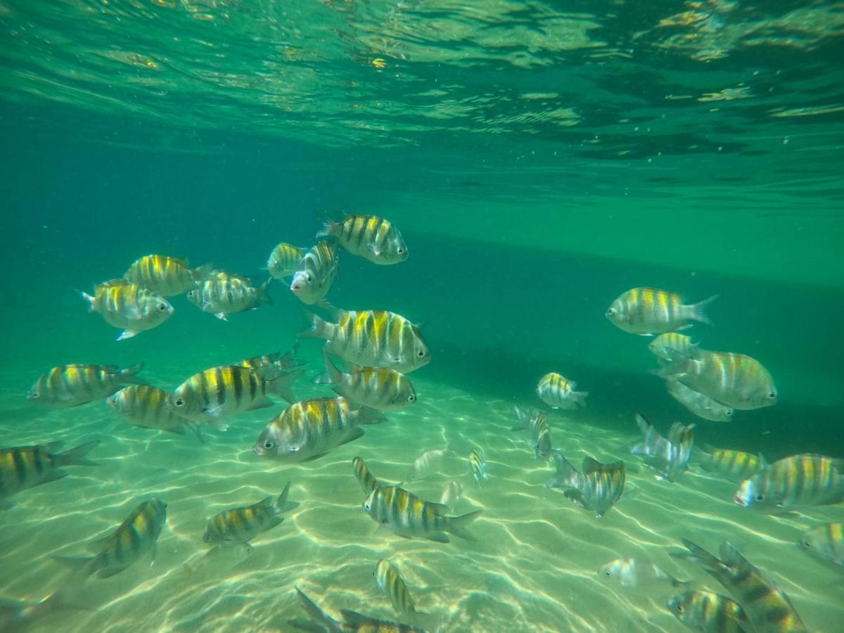 Hostel E Pousada Blue Lagoon Vila do Abraao ภายนอก รูปภาพ